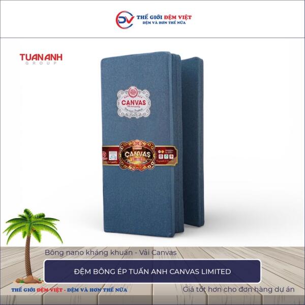 Đệm bông ép Tuấn Anh Canvas Limited 2